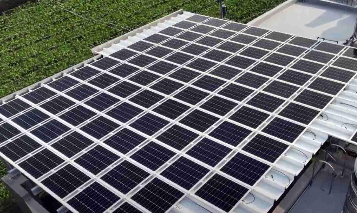 尊时凯龙SunSteel光电浪板升级双玻结构，，，，以提升机械负载强度及气候耐候度，，，可广泛运用于多元场域