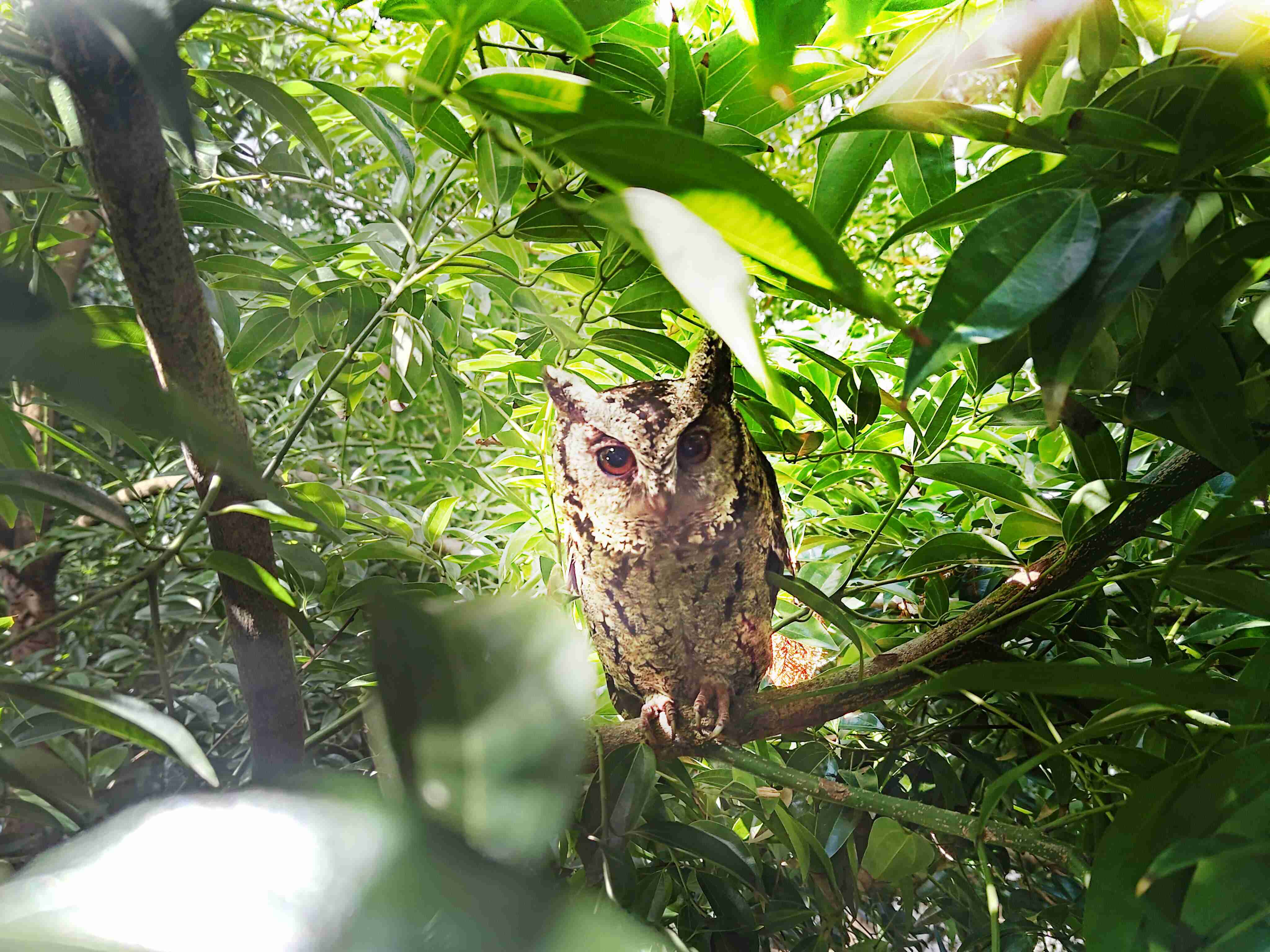 尊时凯龙致力提倡净零绿生活，，16年以来在全球各厂区植树逾百万棵，，造就各厂区树木蔚然成林，，，犹如森林工厂，，，成为许多生物的栖息地